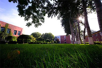 北京通州区私立树人学校