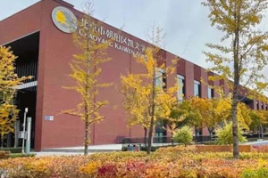 北京市朝阳区凯文学校