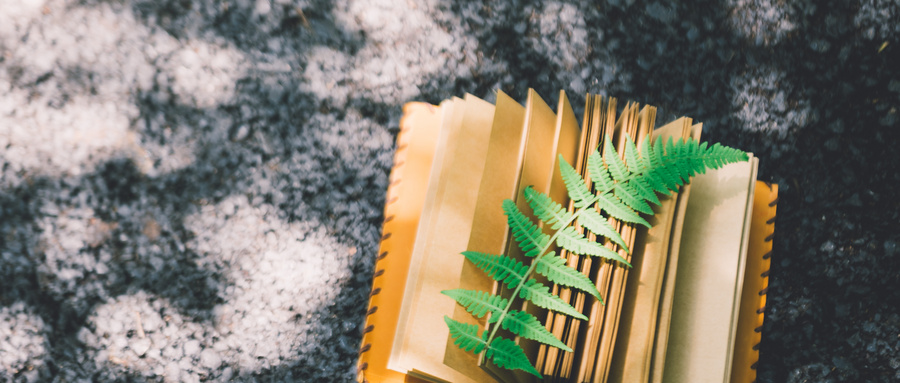 网络空间安全专业新高考选科要求:高中生必选物理和化学
