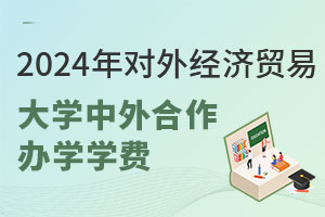 2024年对外经济贸易大学中外合作办学学费