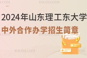 2024年山东理工东大学中外合作办学招生简章