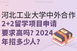 河北工业大学中外合作2+2留学项目申请要求高吗？2024年招多少人？