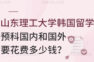 山东理工大学韩国留学预科国内和国外要花费多少钱？