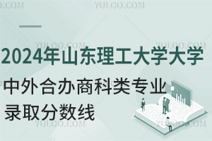 2024年山东理工大学中外合作办学商科类专业录取分数线