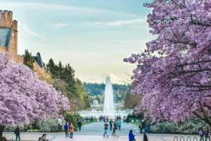 2024-2025年北京新学道临川学校学费标准一览！含小初高年级