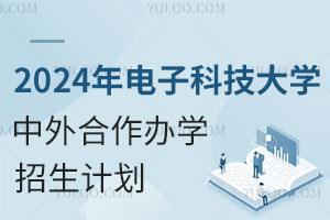 2024年电子科技大学中外合作办学招生计划