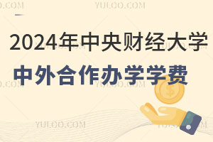 2024年中央财经大学中外合作办学学费