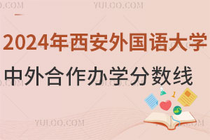 2024年中央美术学院中外合作办学录取分数线