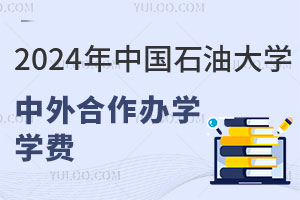 2024年中国石油大学中外合作办学学费