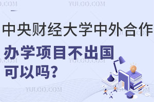 中央财经大学中外合作办学项目不出国可以吗？