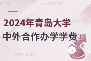 2024年青岛大学中外合作办学学费
