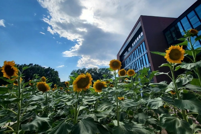 北京市朝阳区凯文学校校园环境