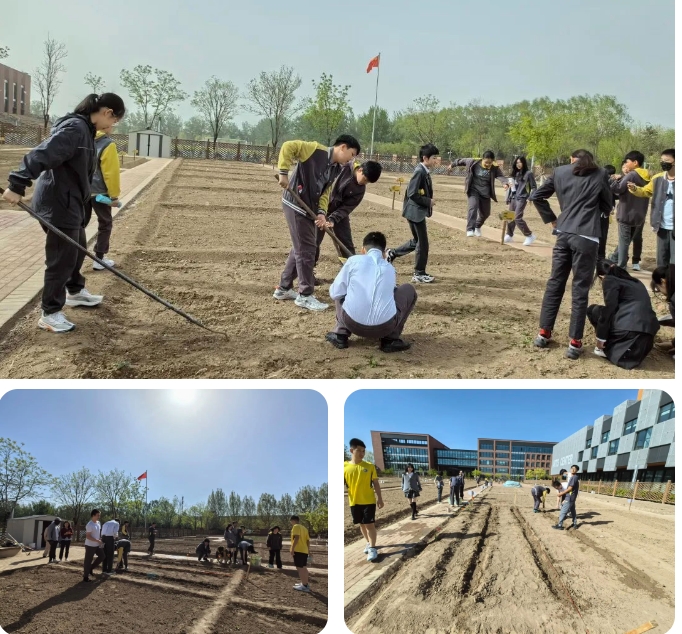 北京市朝阳区凯文学校种植园