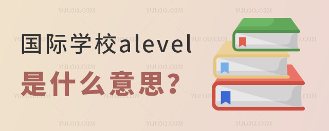 ѧУalevelʲô˼