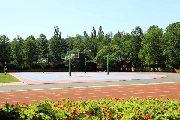 北京市师达中学怎么样
