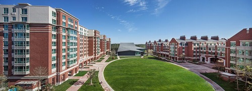 ��ɳ���Ƚ�ǿ�Ĺ���Сѧ-��ʯ