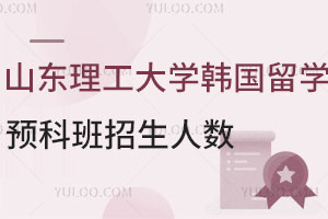 山东理工大学韩国留学预科班招生人数