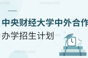 中央财经大学中外合作办学招生计划