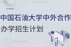 中国石油大学中外合作办学招生计划