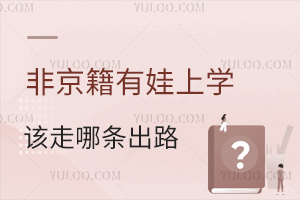 互联网码农,非京籍有娃,上学该走哪条出路?