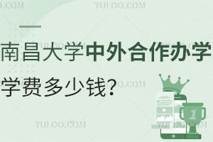 南昌大学中外合作办学学费多少钱？