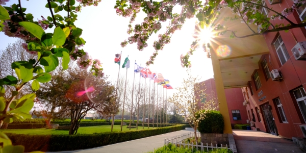 北京市通州区私立树人学校