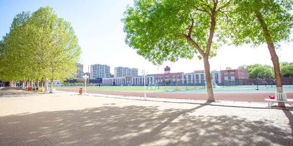 北京中加学校通州华仁学校