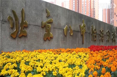 北京市第八中学怡海分校国际部