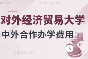 对外经济贸易大学中外合作办学费用高吗？一年10万够吗？
