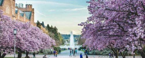 北京市师达中学国际高中春季转学