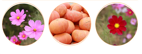 ����ͬ�������ѧУ�