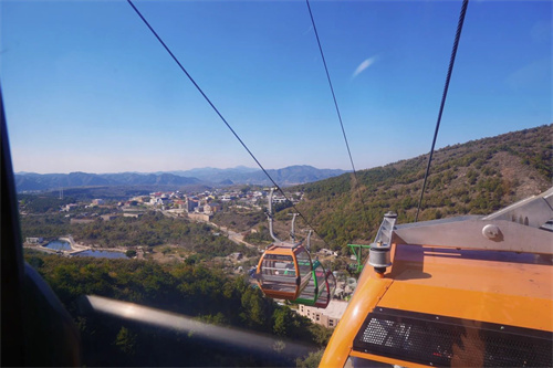 ����ͬ�������ѧУ�