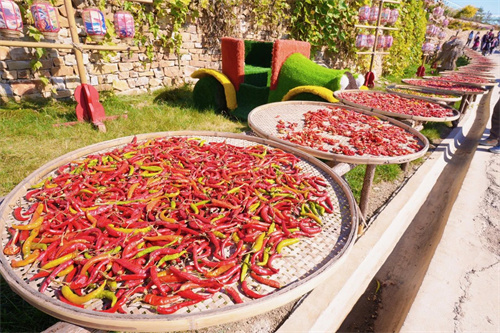 ����ͬ�������ѧУ�