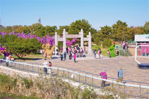 ����ͬ�������ѧУ�