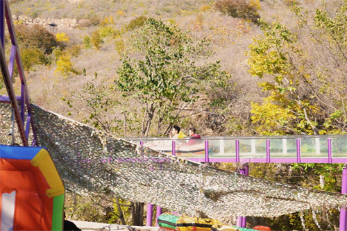 ����ͬ�������ѧУ�