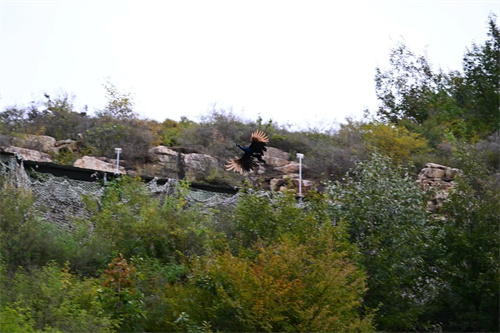 ����ͬ�������ѧУ�