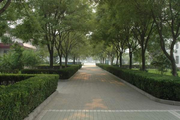 �����м�ѧУ|ͨ�ݻ���ѧУ