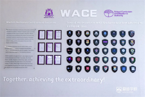 ϰ޸WACE߿