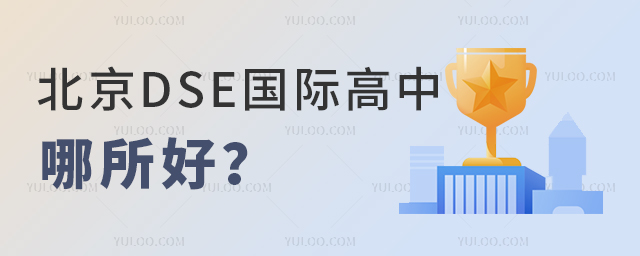 DSEʸ