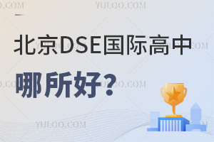 ����DSE���ʸ��������ã�