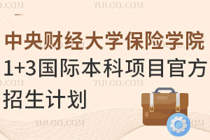 2025年中央财经大学保险学院1+3国际本科项目官方招生计划