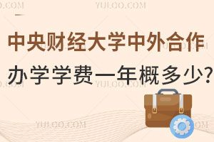 中央财经大学中外合作办学学费一年大概多少钱？