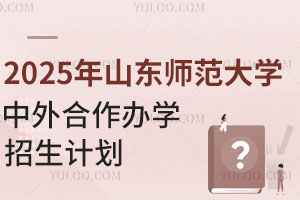 2025年山东师范大学中外合作办学招生计划