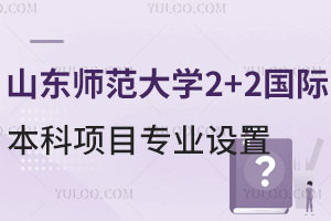 山东师范大学2+2国际本科项目专业设置
