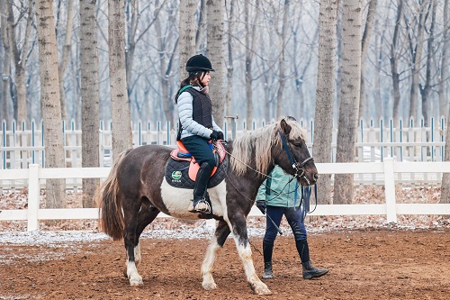 ����������ֲ��շѱ�׼