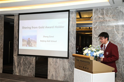 �������������ʽ�