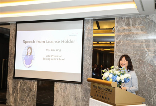 �������������ʽ�