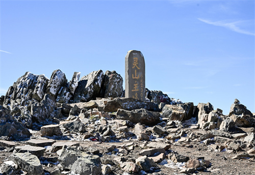 �������������ʽ�