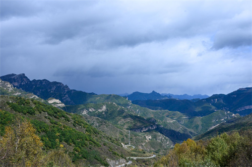 �������������ʽ�