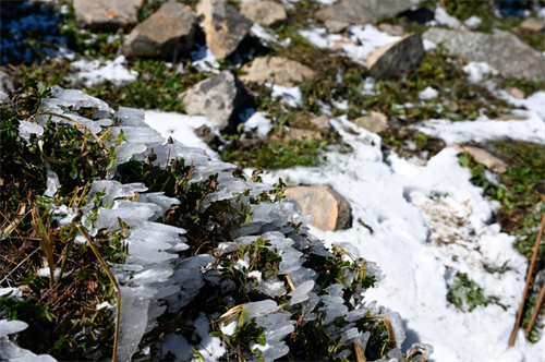 �������������ʽ�